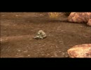 歳の離れた兄弟で 『AFRIKA』 実況プレイPart50