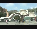2015年おみあい中継特別コンテンツ 『パンダのホルモン検査』