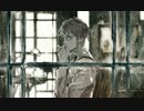 About meを歌ってみた【mei】