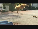 【頭が子猫】公園の猫兄弟の圧倒的身体能力をスローで堪能する