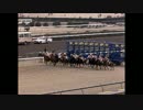 【ウイニングポスト8 2015】女馬主と早世馬の新世界【実況プレイ】26
