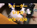 yuyuっち☆姉のnonoと勉強したよーなしなかったよーな(ノ´∀｀*)