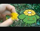 生物（ポケモン）捕獲！！大自然レート【ＯＲＡＳ実況】＃３　タンポポ
