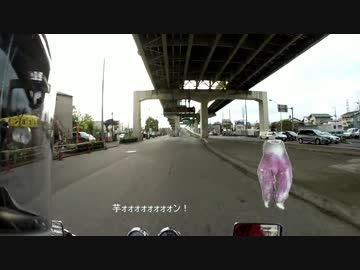 首都高走ってみた