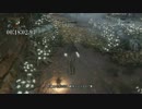 Bloodborne RTA 31:31（IGT28:50） その2