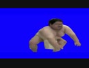 迫真相撲部　足取りを狙う肉丸BB