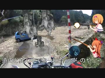 原付おんざ林道探索ﾋﾟｰﾎﾟｰ！１！！