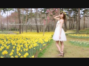 【さつき】ミルククラウン・オン・ソーネチカ【踊ってみた】