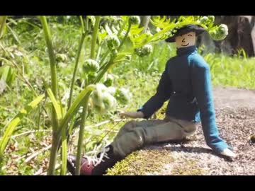 野良猫式  ジョニーの旅日記  第六話 春爛漫の時期がやって来た