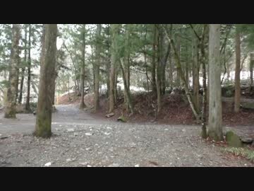 癒しのキャンプ その4