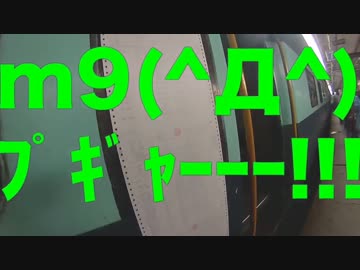 【旅動画】ぼすこは新दिल्लीで旅をする Part:３７【印度カレー編】