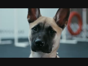 J. Cole - Wet Dreamz