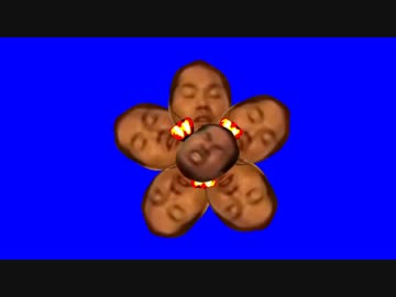 開花先輩BB+使用例.tire