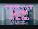 【ATY】PiNK CATを踊ってみた【明香里と夕香里】