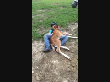 子馬とラブラブ