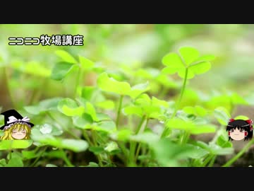 【牧場物語】リアルでもゲームでも牧場part27.5【ゆっくり実況】