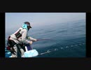 【くコ:彡】大型根魚に下を向かせることなくゴリ巻きしてみた【