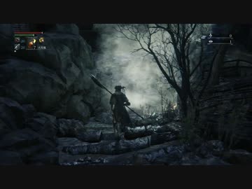 出来る限り頑張るBloodborneレベル4 黒獣パール戦