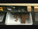 毒ヘビとの生活　3/5