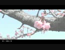 【AmySun】「春に一番近い街」を歌ってみた