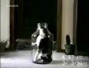 瓶詰めnya