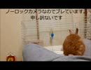 みかんの成長記録　6日目.mp4