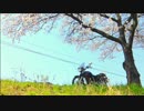 ST250 春のツーリング