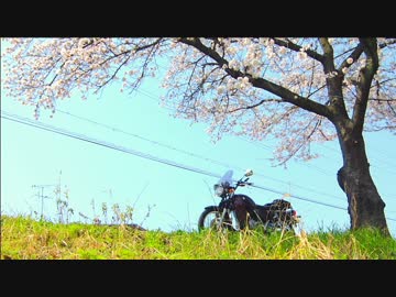 ST250 春のツーリング