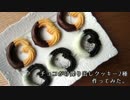 【サクッカリッ】チョコがけ搾り出しクッキー2種作ってみた。