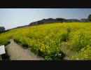 おっさんがGSで行くゆっくりツーリング（伊豆編Part6 最終回）.mp4