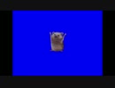 完全勝利したハリネズミくんBB.hdg
