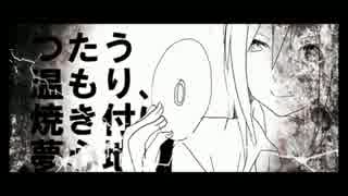 【VOCALOIDカバー】パケットヒーロー【KAITOカバー】