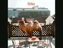 Wilco - You Never Know