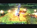 [PSO2]TAナベリウスⅡSH 移動PB以外ソード縛り 3:09！[筋肉HuFi]チャージ短縮後