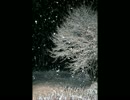 怖い記憶2010年１２月１７日.mp3.wmv