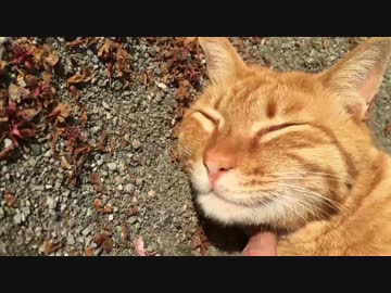 【頭が】公園着いたら2秒でフギャアアアアアアアア