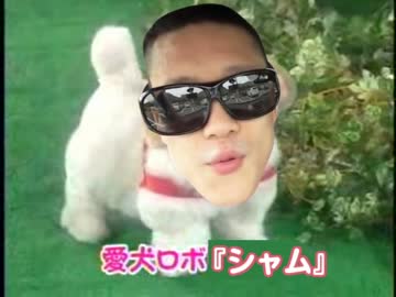 貝塚直販 愛犬ロボ「シャム」