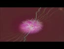 【 相川七瀬 バイバイ｡ 】 歌ってみた 【 ELAFAR 】