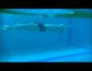 グライドバタフライ水中