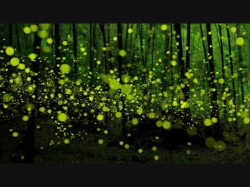 【オリジナル】もののけの森【BGM】