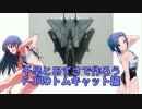 千早とあずさで作ろうF-14Dトムキャット編
