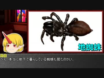 ゆっくり霊夢とやる夫が学ぶ 昆虫大百科 番外編part8