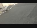 パトロール中のお猫さまにひたすら並走する動画の巻