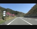 ツーリング動画の画質テスト