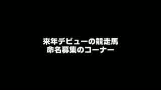 【PS3 ウイニングポスト8 2015】ポットはんの真・馬主生活 命名募集01