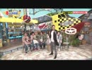 5人わちゃ290