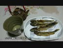 春到来！ 決戦☆激流のイワナ釣り