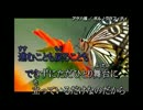 【人力刀剣乱舞】長谷部がカラオケでアゲハ蝶【へし切長谷部】