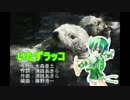 【ガチャッポイド】いたずラッコ【カバー】