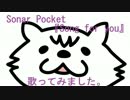 ソナーポケット Song for you 【のぷまこ】が歌ってみた